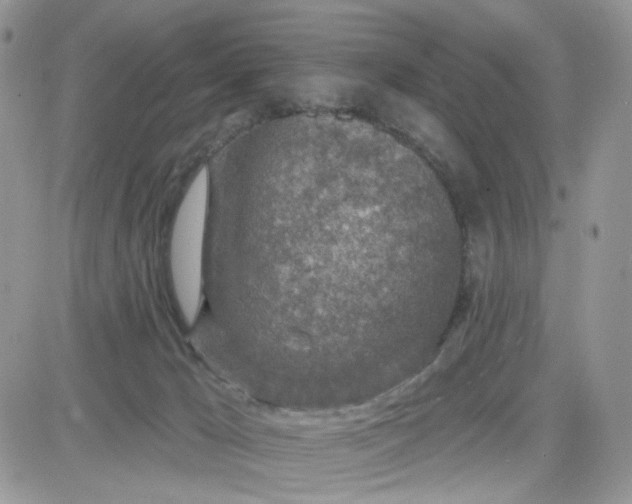 X0000081560029200701291201