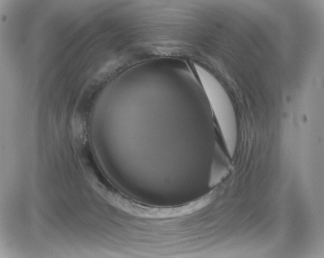 X0000081560031200701291201