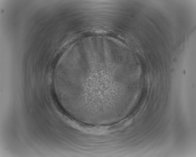 X0000081560032200701291201