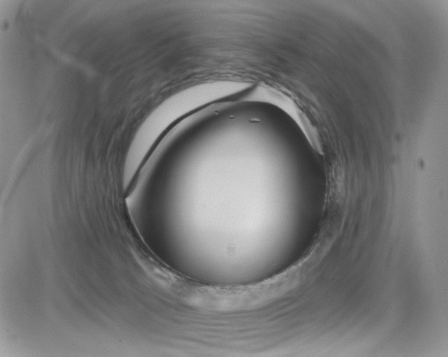 X0000081560033200701291201