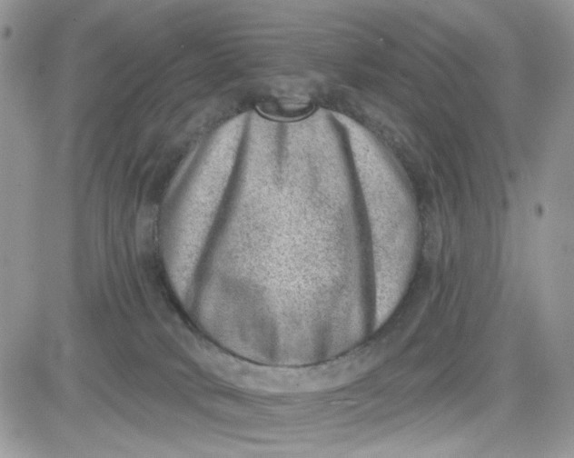 X0000081560034200701291201