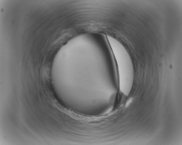 X0000081560035200701291201