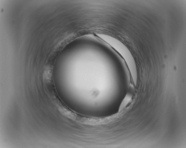 X0000081560037200701291201