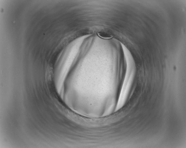 X0000081560038200701291201