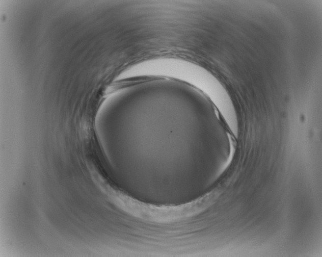 X0000081560039200701291201