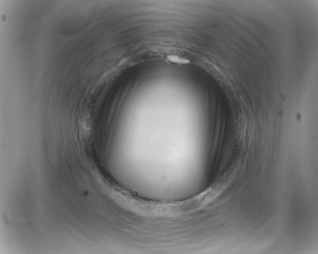 X0000081560040200701291201