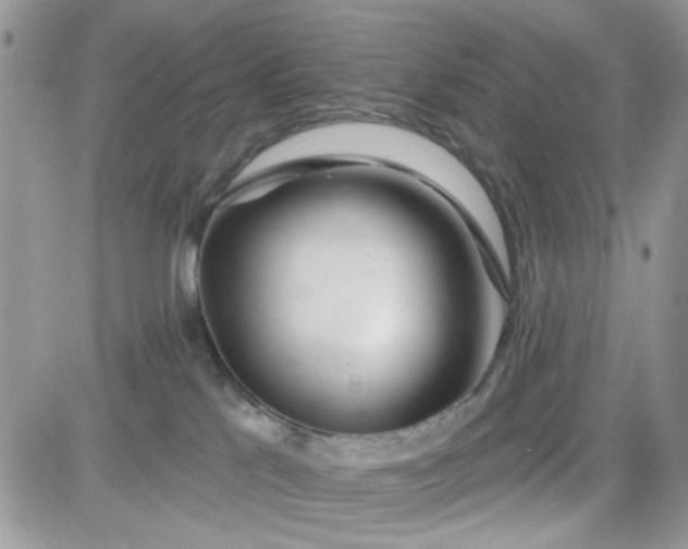 X0000081560041200701291201