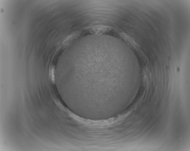 X0000081560042200701291201