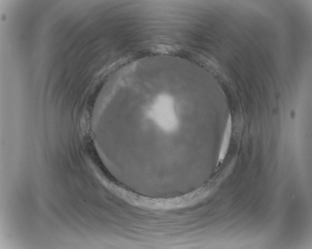 X0000081560043200701291201