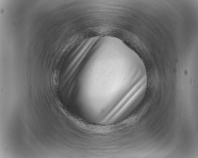 X0000081560044200701291201