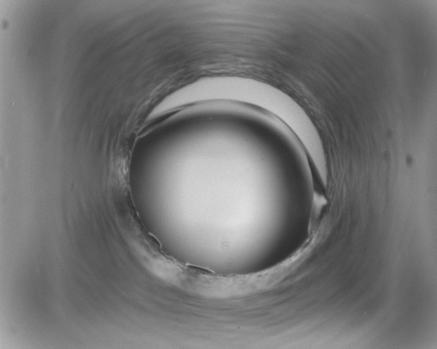 X0000081560045200701291201