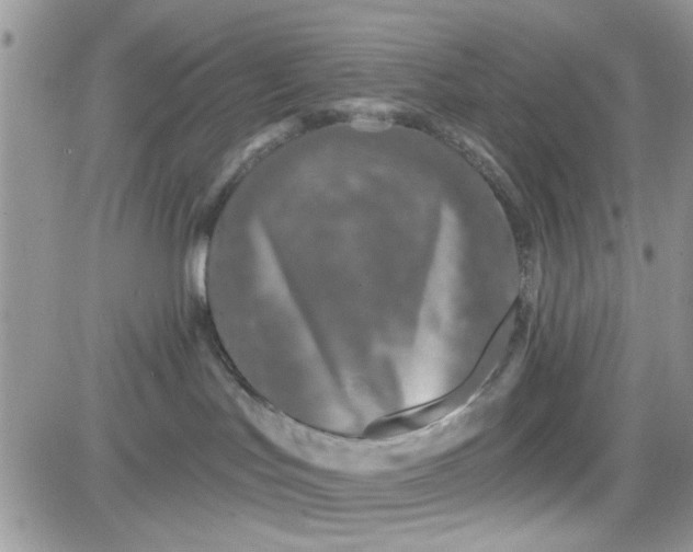 X0000081560047200701291201