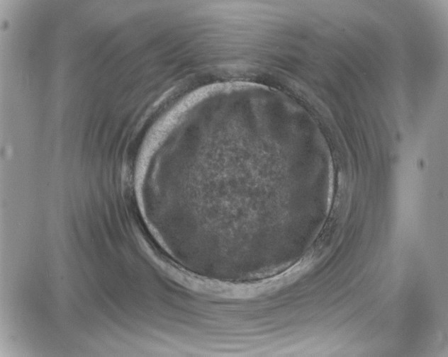 X0000081560048200701291201