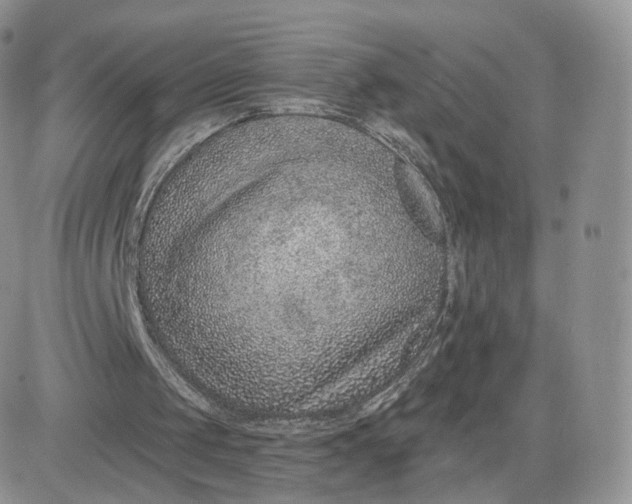 X0000081560049200701291200