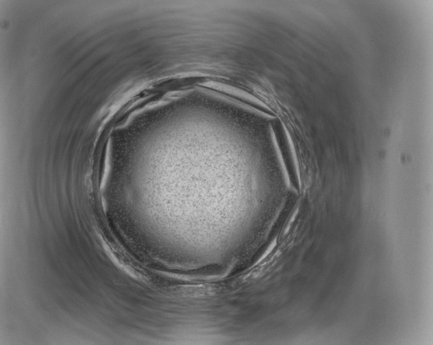 X0000081560050200701291200