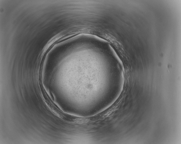 X0000081560051200701291200