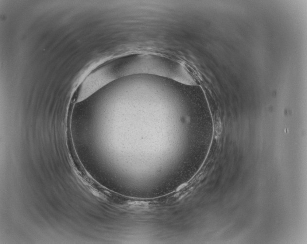 X0000081560052200701291200