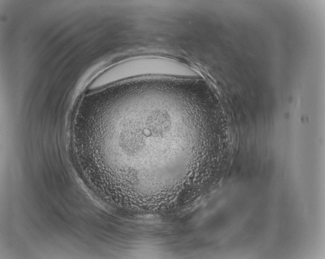 X0000081560053200701291200