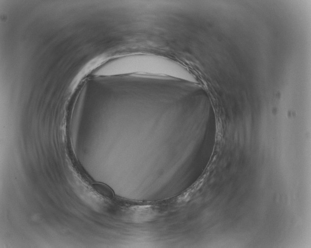 X0000081560054200701291200