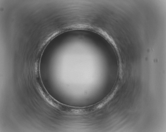 X0000081560057200701291200