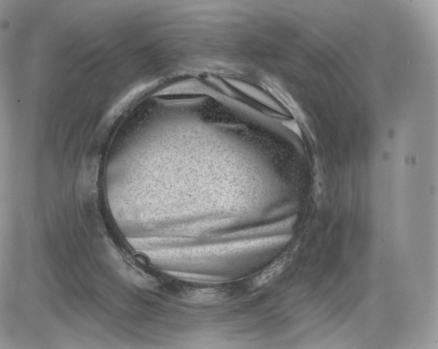 X0000081560058200701291200