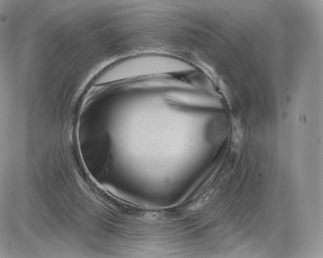 X0000081560060200701291200