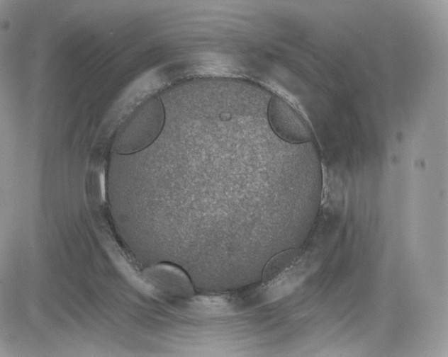 X0000081560061200701291200