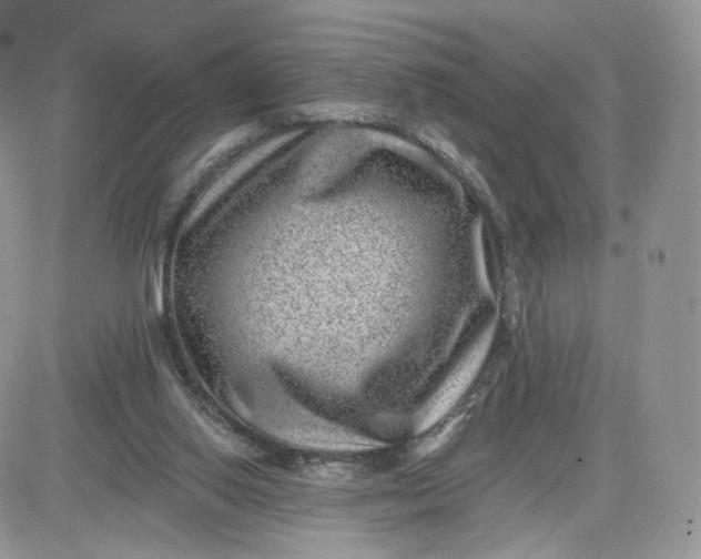 X0000081560062200701291200