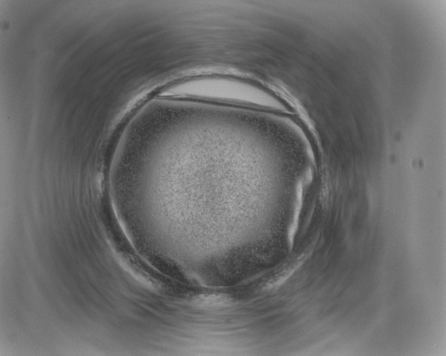 X0000081560063200701291200