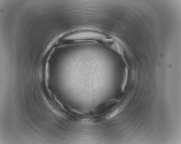 X0000081560064200701291200