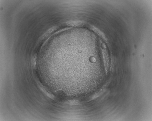 X0000081560065200701291200