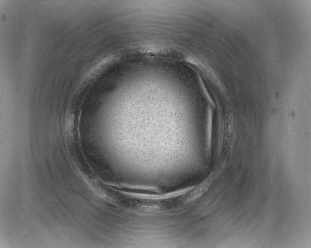 X0000081560066200701291200