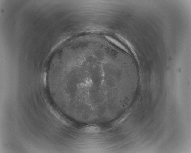 X0000081560067200701291200