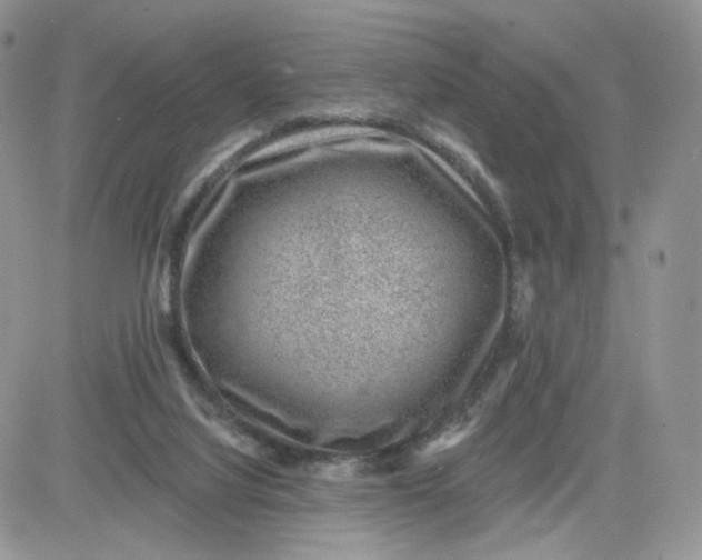 X0000081560068200701291200