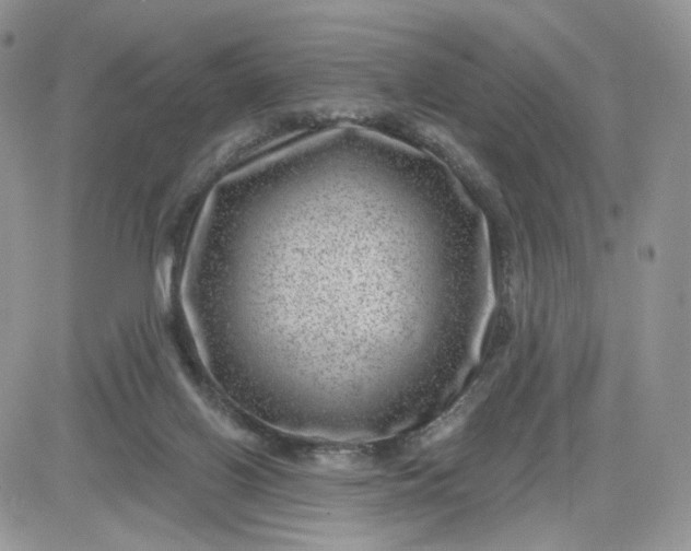 X0000081560070200701291200