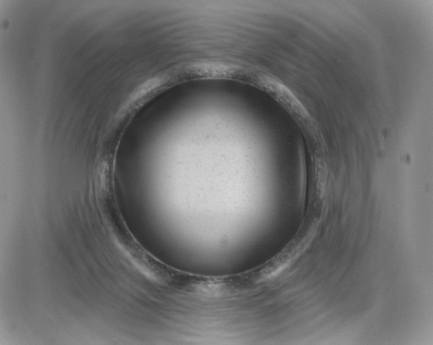 X0000081560071200701291200