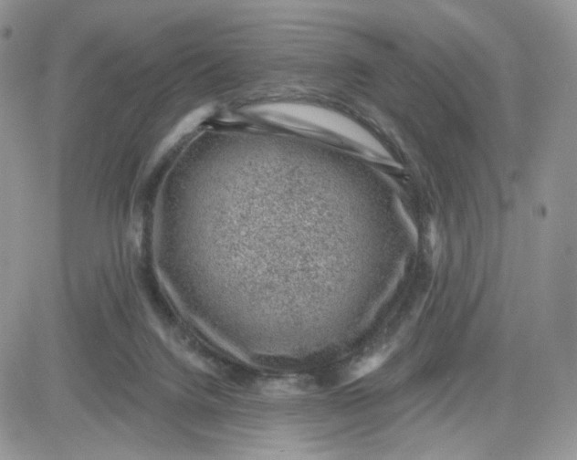 X0000081560072200701291200