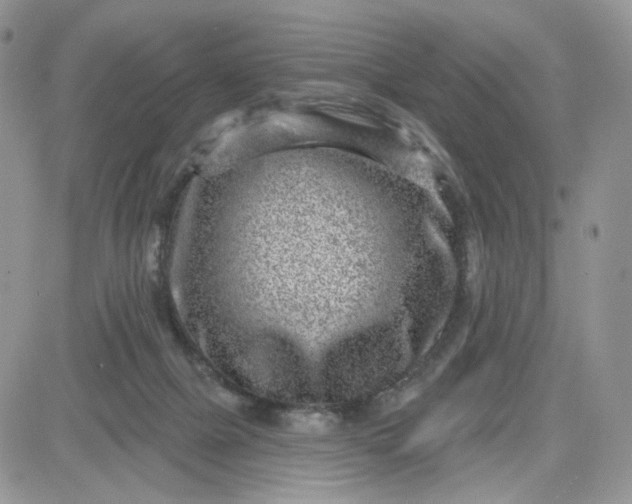 X0000081560073200701291200