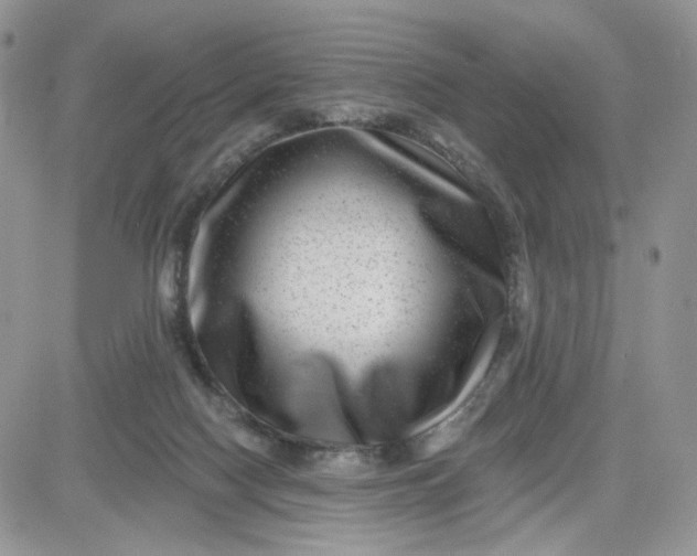 X0000081560074200701291200