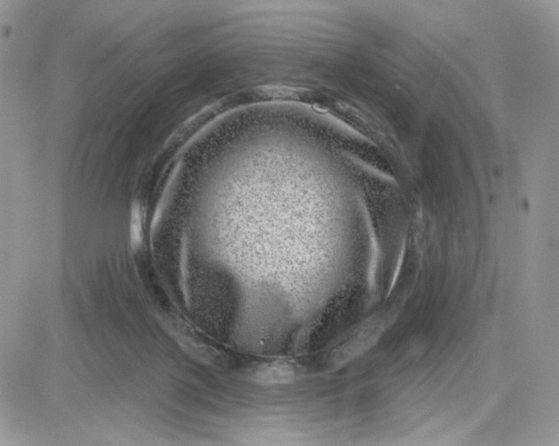 X0000081560075200701291200