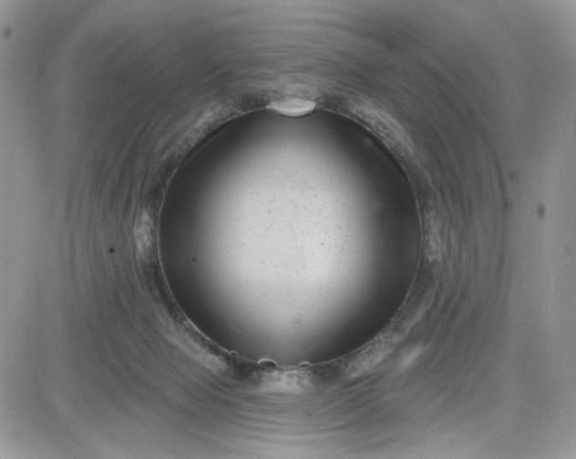 X0000081560077200701291200