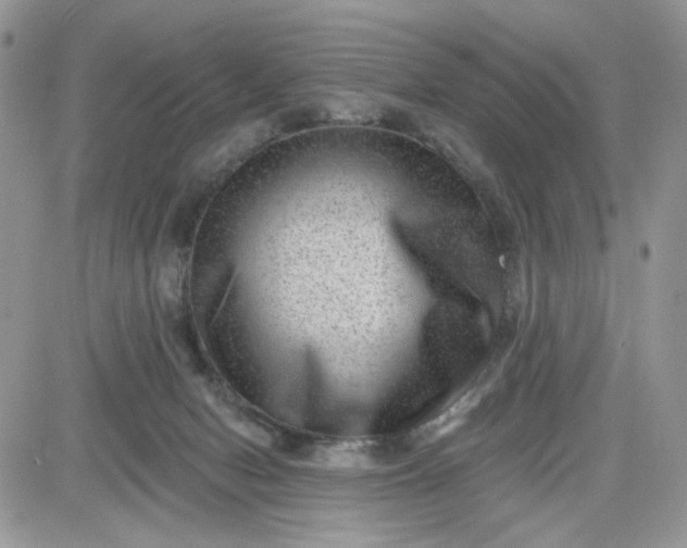 X0000081560078200701291200