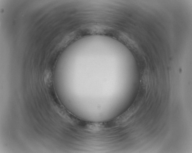 X0000081560079200701291200