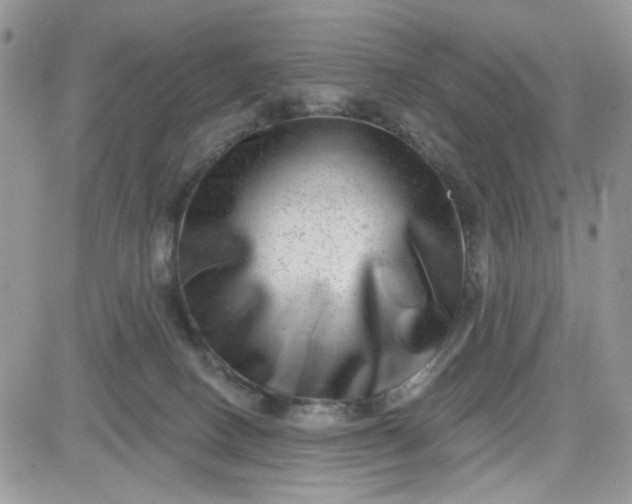 X0000081560082200701291200