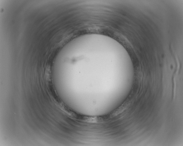 X0000081560083200701291200