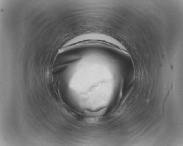 X0000081560084200701291200