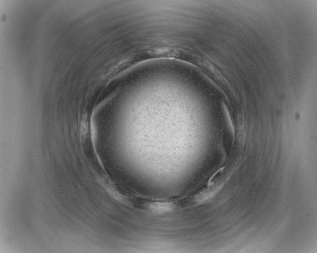 X0000081560085200701291200