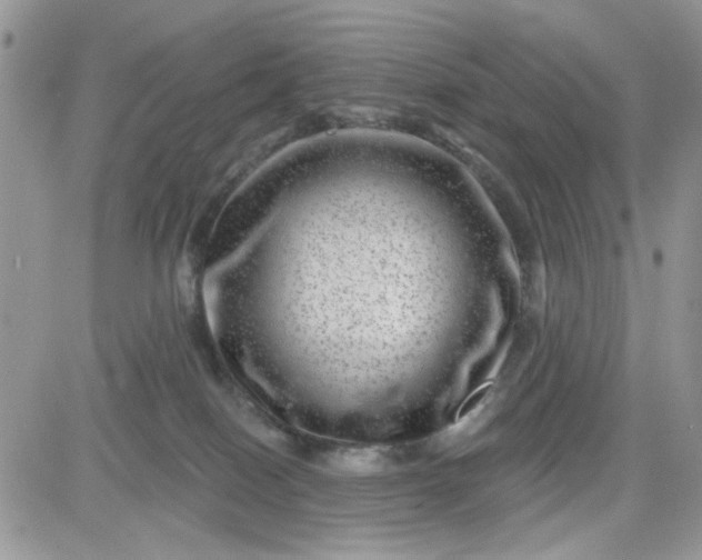 X0000081560086200701291200