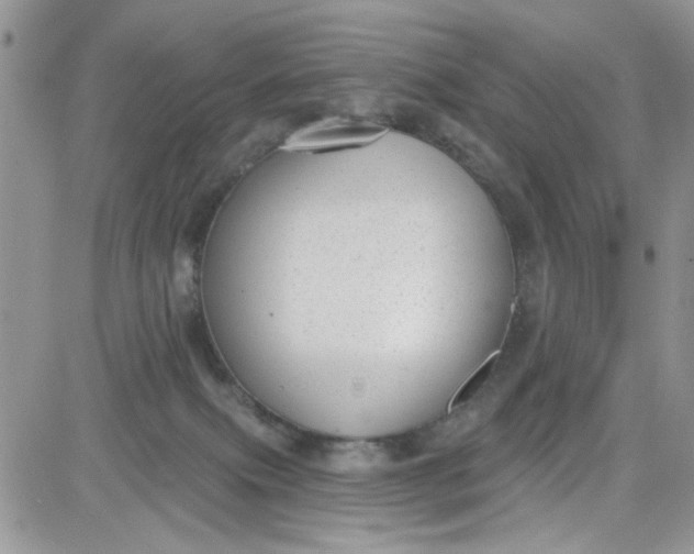 X0000081560087200701291200