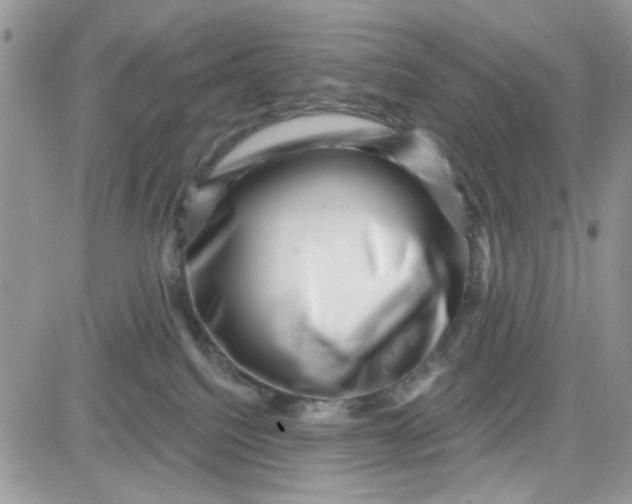 X0000081560088200701291200